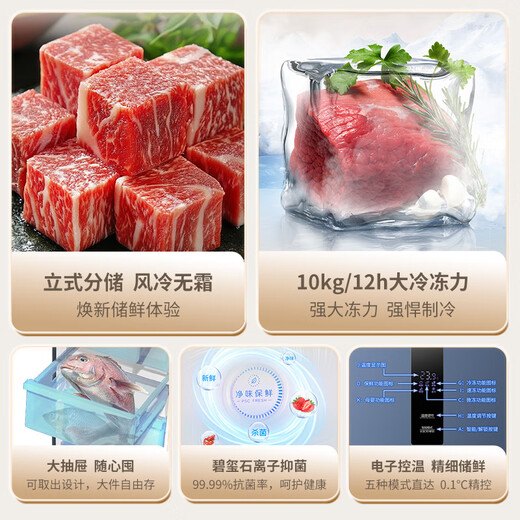 澳柯玛（AUCMA）231升立式冰柜冷柜风冷无霜一级能效家用母乳冷藏全冷冻抽屉式单开门小冰箱BD-231WNE 国家补贴