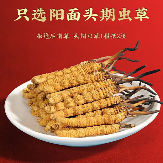 Gift box Cordyceps sinensis gift box Cordyceps 2 1 gram dry goods Cordyceps gift nourishing quality gift box pack Nagqu king-level cordyceps 50 pieces pack 3 1 gram