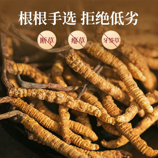 余仁生 冬虫夏草 干虫草约3-4根/克35#2g 约7根 洁净饱满 礼品节日送礼