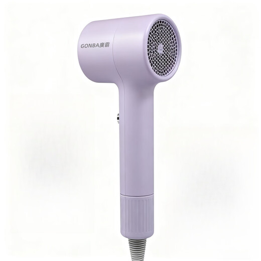 GUANGBA New National Standard Plasma Hair Dryer Hair Care Silent Quick-drying Anti-static Smooth Hair Dryer Hairstylist Special Barber Shop Home Quick-drying Negative Ion Hair Care Hair Dryer Lavender Purple New National Standard Safer 2000W + Styling Nozzle 1.8M Pure Copper Power Cord