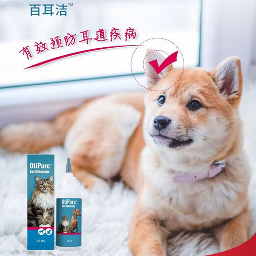 Imported Pet Biljit Ear Drops for Cats and Dogs Clean Ears for Pets Ear Mite Ear Cleansing Liquid Ear Bleaching Biljit + Vivokang Ear Medicine (Daily Care)