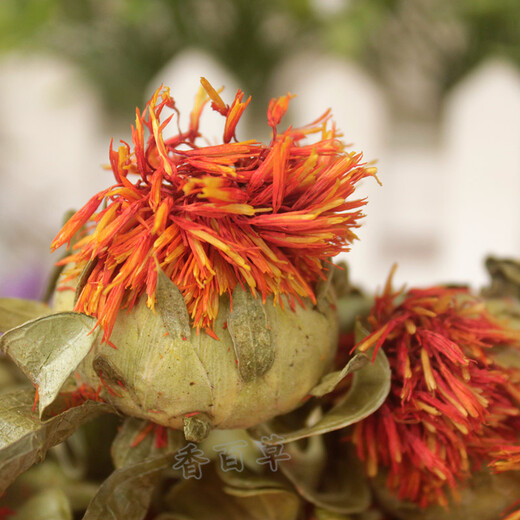 
Kang Yuzun Red Flowers and Fruits New Dried Saffron Soaking Grass Red Flower Whole Western Regions Tibetan Saffron Tibet [Saffron Flowers/500g]