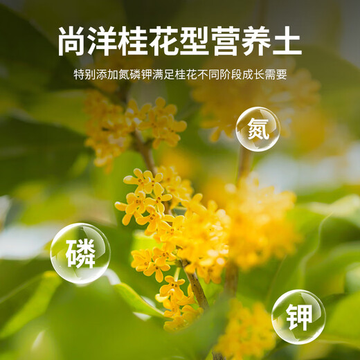 Shangyang Osmanthus special nutrient soil 15L gardening green plant vegetable soil flower soil potted planting soil organic soil