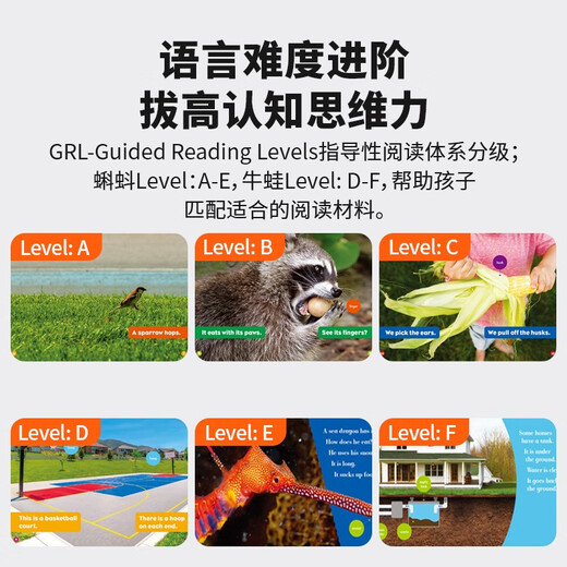 点读版 美国Jump百科分级读物-BullfrogBooks 牛蛙系列D盒 32册 新一代科学标准 提升英语学习力 英文原版 5 - 8 岁 蓝思值50L - 400L