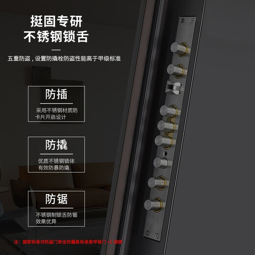 挺固 甲级防盗门通风窗门家用轻奢防盗门进户门入户门通风门子母门 A8机械锁 1050*2050mm【开向咨询】