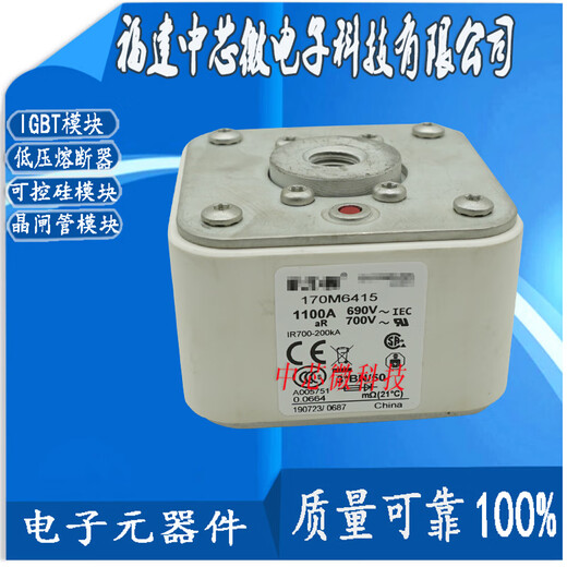 170M6415 170M6416 170M6417 170M6418 170M6419-fuse 170M6415(1100A/690V)