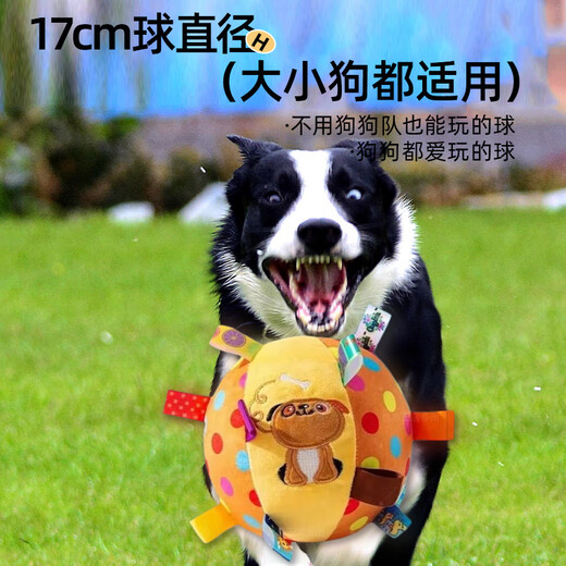 HOUYA dog toy ball sound toy pet dog relieves boredom, bite-resistant and consumes energy interactive toy