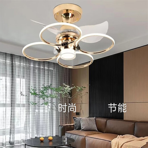 Er Jiangong Deckenlüfter Käfig 2023 Leichte Luxus-Schlafzimmer Wohnzimmer Esszimmer Lüfter Restaurant Elektrische Lüfter integriert Custom 9195 Black Absorbing Model + Drei-Farben-lichtveränderte Fernbedienung