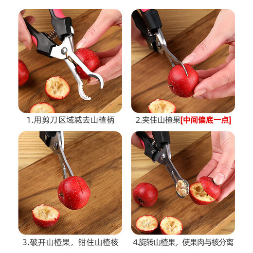 Qian Dong hawthorn corer artifact household pliers to remove seeds and corer homemade candied haws making material tools corer knife seller upgraded model-blue