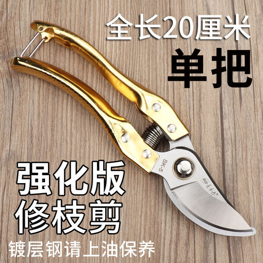 Schnittschere Traubenpflückende Früchte und Schere Gartenfruchtbaumschere Dicke Zweige Blumenschere, die sich anstrengende Äste beschneiden, die Schere h De14116 High-End-Schere der High-End-Schere