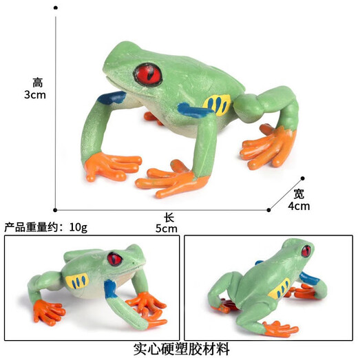 Oenux Simulation cognitive grenouille jouet solide enfant de poupée pour enfants Small Ornaments Bullfrog Frog Frog Bullfrog Frog Toad 1429 Africain Reed Frog