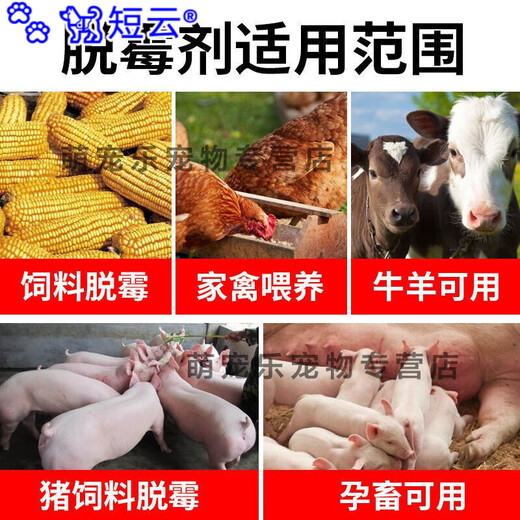 Duanyun Veterinary Mildew Remover for Sows, Cows and Sheep, Pregnant Livestock, Chickens, Ducks, Goose and Pigeons can be mixed with water and feed additives. 5 bags of mold remover and 7 bags of solid hair.