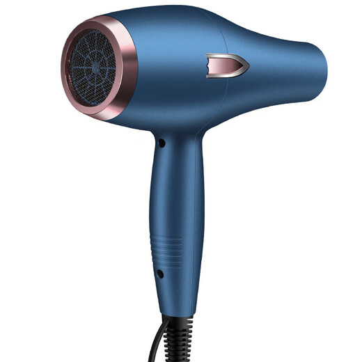 Philips (PHILIPS) same style German hair dryer for household high wind power hair salon high power 2200w barber shop negative ion hot and cold wind mute German black 18000 wind power home use free three years 10 years