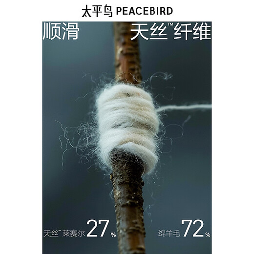 PEACEBIRD Men's Lenzing Tencel Wool Coat Mid-Length Winter Double-sided Woolen Coat Dark Gray First Batch L