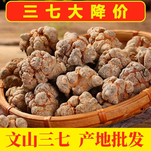 Panax notoginseng Yunnan Wenshan Spring Panax notoginseng Selected Chinese medicinal materials without cuts and nourishing gifts Sanqi Tianqi Selected 24 heads and 24 [500 grams] No cuts and 37 heads/hair whole