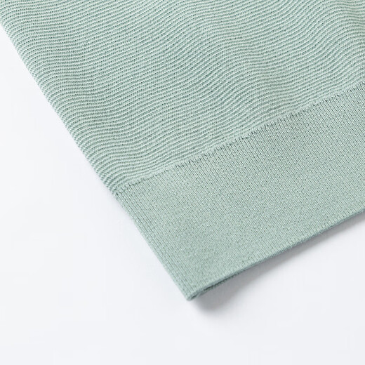 Biyinlefen sheep wool spring and autumn men's casual all-match sweater warm round neck textured wool sweater skin-friendly 75 light green S