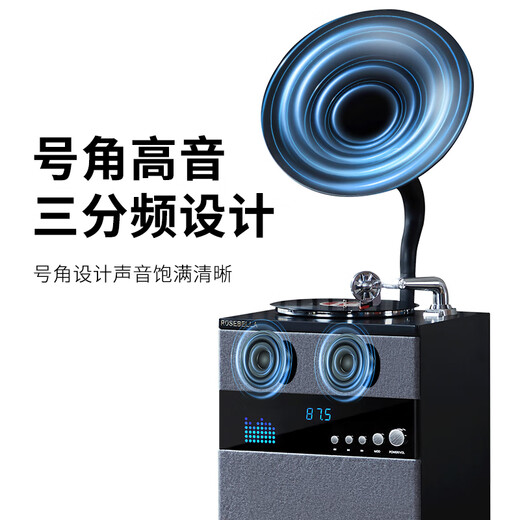 Fantasy Poetry Gramophone Living Room Study Italian Style High-end Retro Vinyl Large Speaker Floor-Standing Record Player Bluetooth Modern Audio Dark Gray SP1502