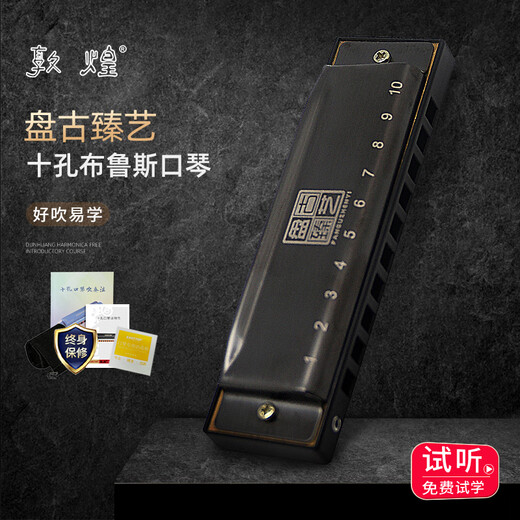 敦煌 盘古臻艺 10孔布鲁斯口琴 DN10 黑色 C调 初学推荐	