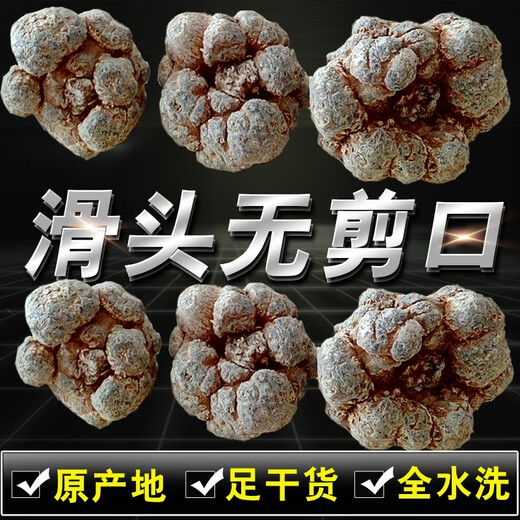 Sanqitou Authentische Yunnan Wenshan 20 Spring Sanqitou Ganze chinesische medizinische Materialien Trockenwaren, Spezialgrad Wildfeld 7 neue Waren 20 Sanqitou 500g