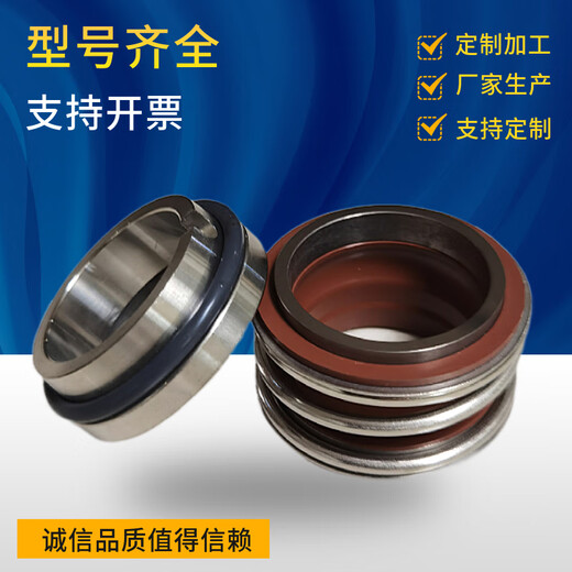 XMSJ Mechanische Dichtungen 109-35 g/25/50/3