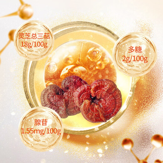 雷允上 九芝图有机破壁灵芝孢子粉48袋免疫力保健营养品术后恢复送长辈
