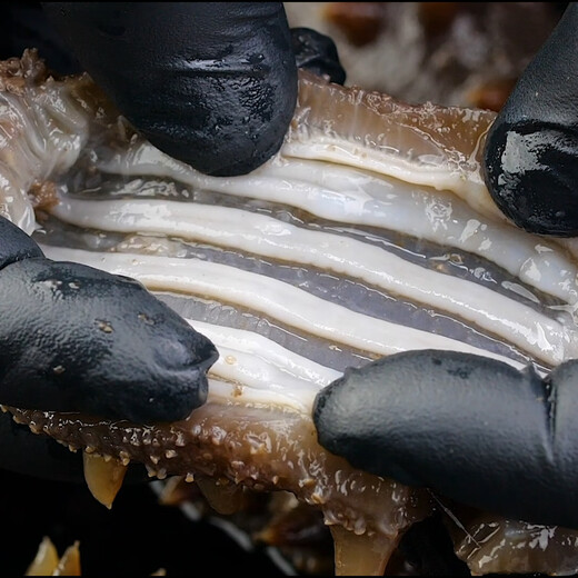 Jingmi Dalian ready-to-eat sea cucumber 1Jin Jin equals 0.5kg 12-17 pieces solid 90% OCC seafood family pack