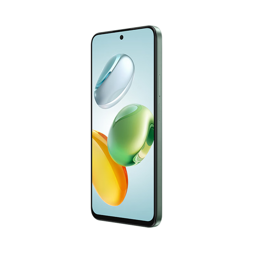 荣耀畅玩60 Plus 五星超抗摔 6000mAh超耐用长续航 12GB+256GB 仙踪绿【赠话费券】国家补贴