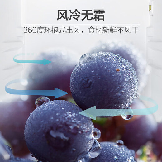 Haier Refrigerator Household 190 liter two-door small-sized mini refrigerator, air-cooled, frost-free, dual-purpose refrigeration and freezing, corporate procurement /BCD-190WLHC2Z0L9