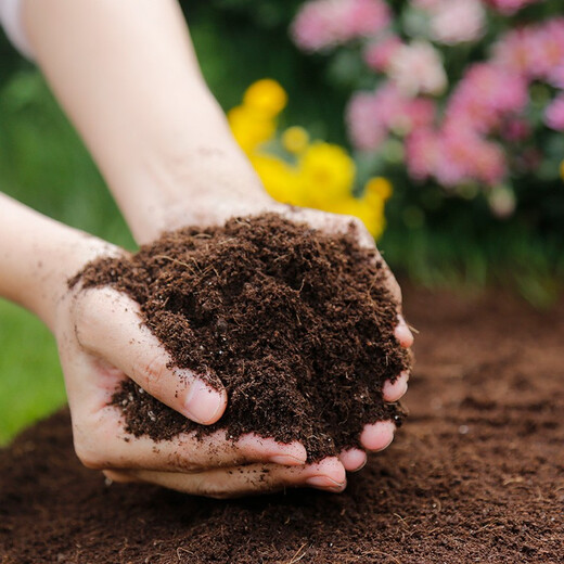 Manlife 10L imported universal nutritional soil vegetable soil organic gardening planting soil flower pot money tree planting flower soil