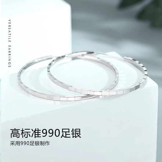 Crystal large hoop earrings for women, pure silver earrings, hoop earrings, temperament earrings, earrings, high-end birthday gifts for girls