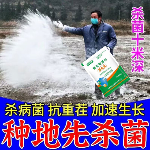 Soil bacteria clear agricultural genuine soil-borne diseases special rapid disinfection and sterilization anti-repeat microbial fertilizer 1 bag not effective