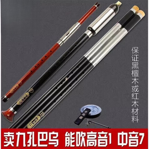 皇仕双管九孔巴乌乐器小学生竖吹横吹单管7七9孔大全 9孔木竖吹(G调)