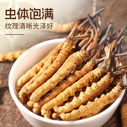 源江草冬虫夏草 新干虫草滋补品送父母长辈滋高端礼盒 2根/g 20克【滋补礼盒】