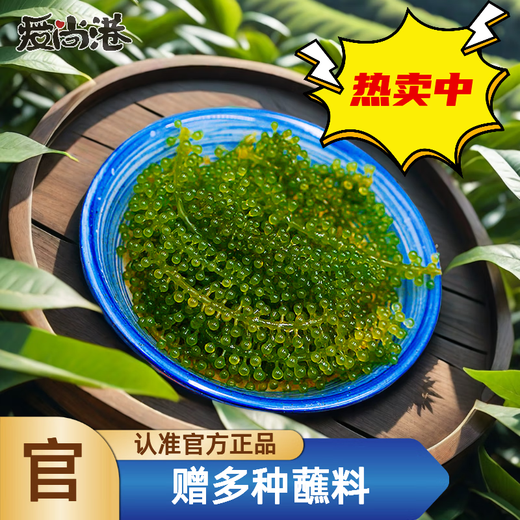 盐渍海葡萄泡发食用 儿童海藻菜海洋蔬菜海草 海葡萄100g*5袋【送芥末酱油】