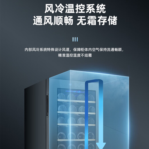 WINDELN Wendel red wine cabinet compressor constant temperature wine cabinet household mini small moisturizing tea cigar storage refrigerator compressor air-cooled steel shelf 23 bottles