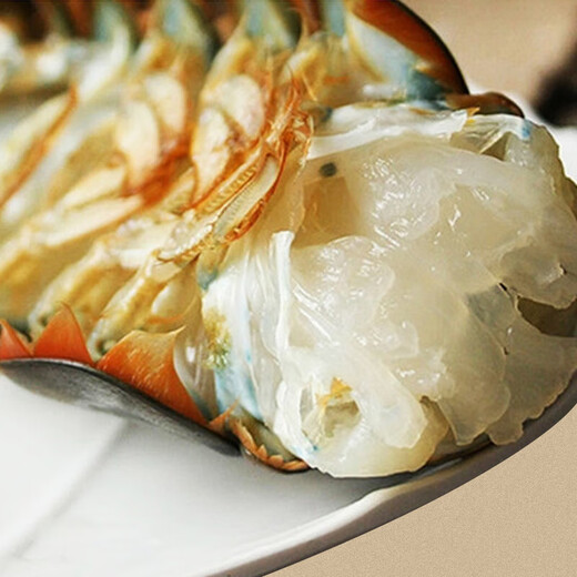 Fresh Boston lobster 400-500g/piece