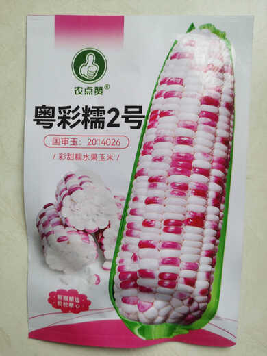 Sowing mood super sweet waxy corn seed black sweet waxy sticky colorful waxy fruit corn seed larvae field high yield big stick easy living hybrid <National Approval> Colorful sweet waxy corn 1 pack about 50 grains No Specifications