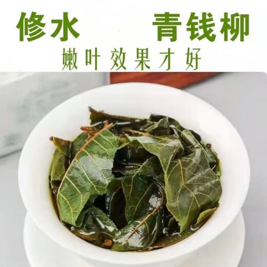 
Qingqian Liujiangxi Xiushui Qingqian Liu Ancient Tree Original Leaf Health Tea Tea One Jin[Jin equals 0.5 kg] Pack [500 grams]