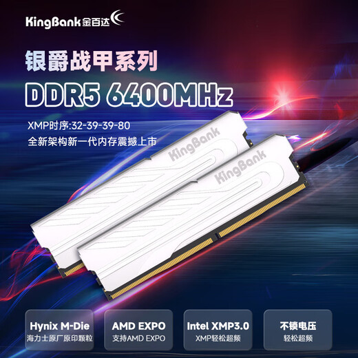 KINGBANK Yinjue DDR5 memory 6000 desktop computer game e-sports vest memory stick office 6400 Hynix particles Adie particles 16GB 32G Yinjue 6400 16G single Hynix M particles C32