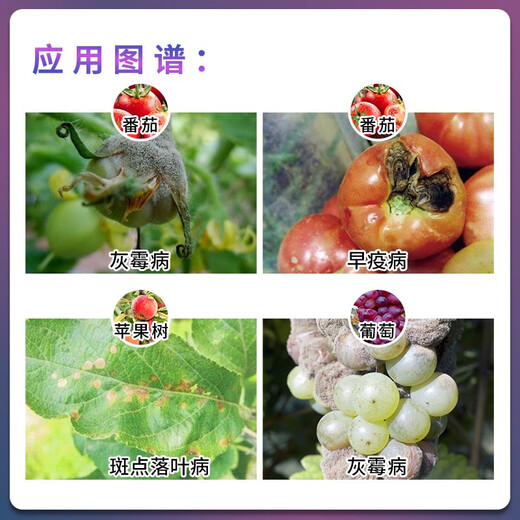 Fumei Shipu hyacinide iprodione tomato apple grape early blight spotted leaf disease gray mold fungicide pesticide 100ml