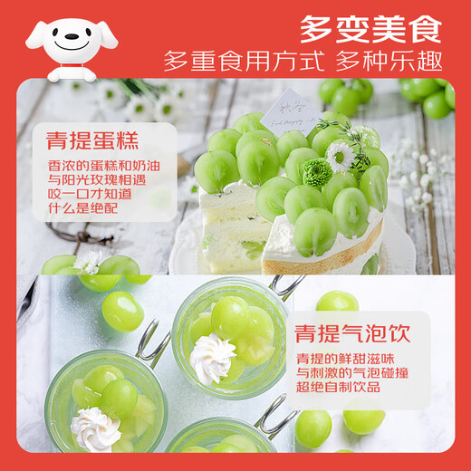 Jingxiansheng Sunshine Rose Grape Green Grape 4-4.5Jin Jin is equal to 0.5kg gift box, single fruit about 10g, fresh fruit, fresh gift box