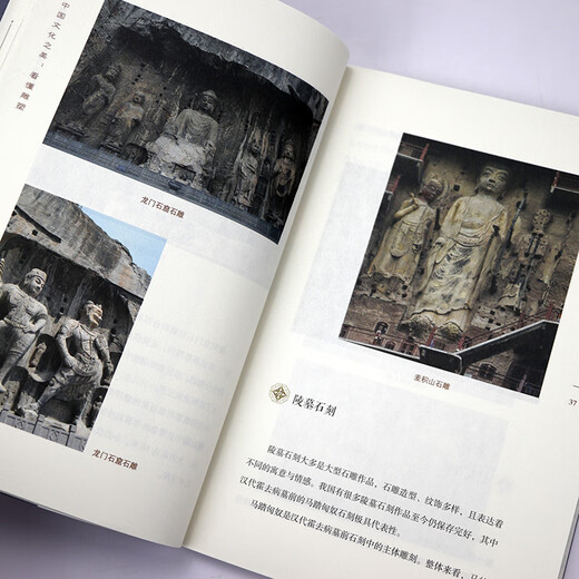 Understand Porcelain, Understand Porcelain, China, How to Read Chinese Porcelain, Porcelain Culture, Porcelain History, Appreciation Books, Understand Sculpture (Color Print) Pricing: 86