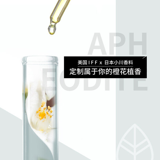 Plant Repair Shampoo + Conditioner Repair Set Hydrating Care Shampoo 251g + Repair Conditioner 251g