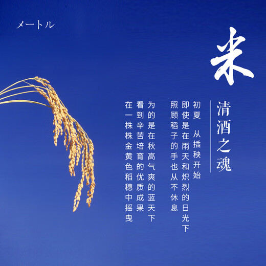 Hakuhe Junmai Daiginjo 720ml Japanese sake imported from Japan