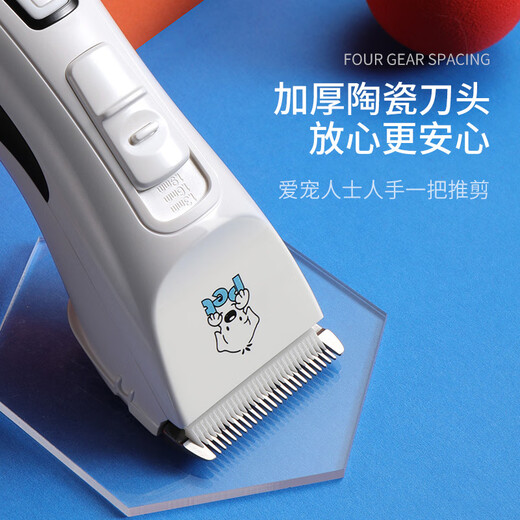 Codos Pet Shaver Dog Hair Clipper Electric Clipper Cat Hair Clipper Large and Small Dog Supplies 9200 Package 5 Standard + 6.3mm Blade