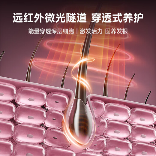 RUAFEE high-speed hair dryer, hollow quick-drying hair care household plasma hair dryer, high-power negative ion far infrared hair dryer for women that does not damage hair, national subsidy, Xinyue powder, hair drying time is halved