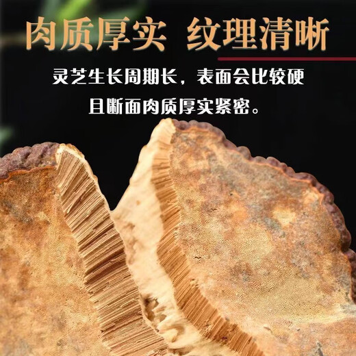 
[Tibetan shipment] Tibet Wild Ganoderma lucidum Red Ganoderma lucidum Spore Powder with Handle Red Ganoderma lucidum Soup Yellow Companion Tibet Wild Ganoderma lucidum 250g