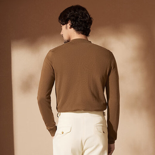 Qipai cashmere Henry collar sweater for men 24 autumn and winter new business casual sweater anti-wrinkle men's sweater brown 170