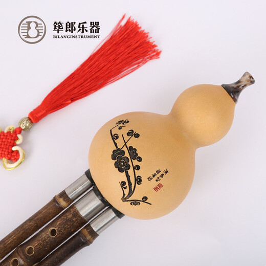 Yunnan Zizhulang Hulusi Musical Instruments Beginner Professional Performance Tuning Durable Seven-hole Zizhu Three-tone Hulusi C-down B-down DGF Primary School Student C-module No books