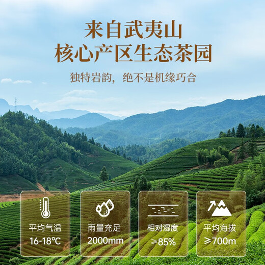 Huaxiangyuan Tea Gift Box Dahongpao Wuyishan Rock Tea Oolong Tea Drink Yourself Tea New Year Gift Gift 116g*1 Box [Buy One Free One]